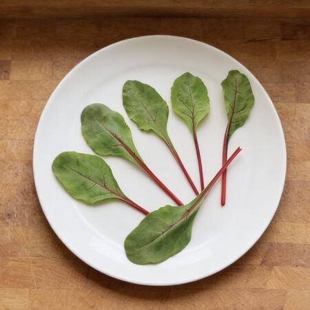 Ruby Fresh, (F1) Swiss Chard Seeds - Packet image number null